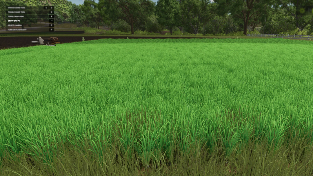 Lush green field in FS25 Grow Now mod, showcasing crop growth enhancement in Farming Simulator 25.