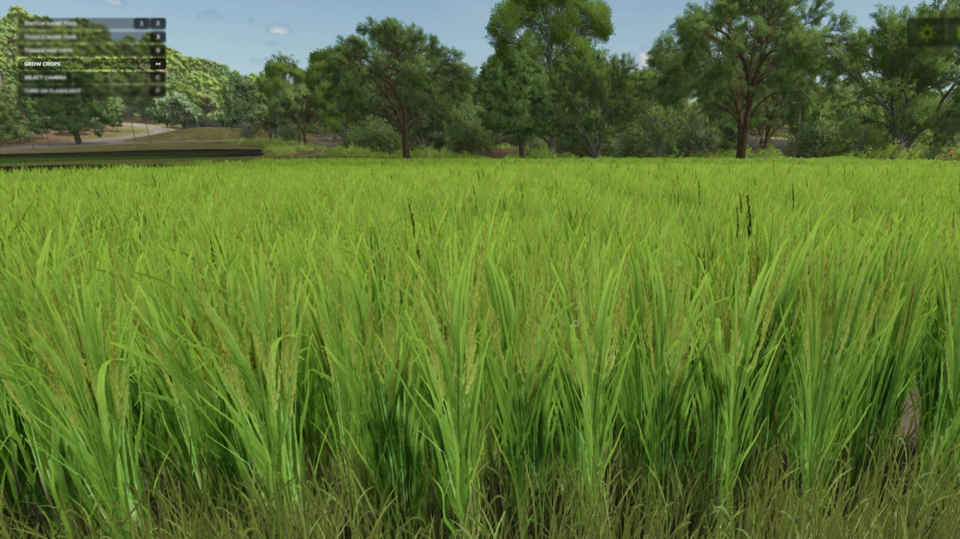 Lush green field in FS25 Grow Now mod from Farming Simulator 25