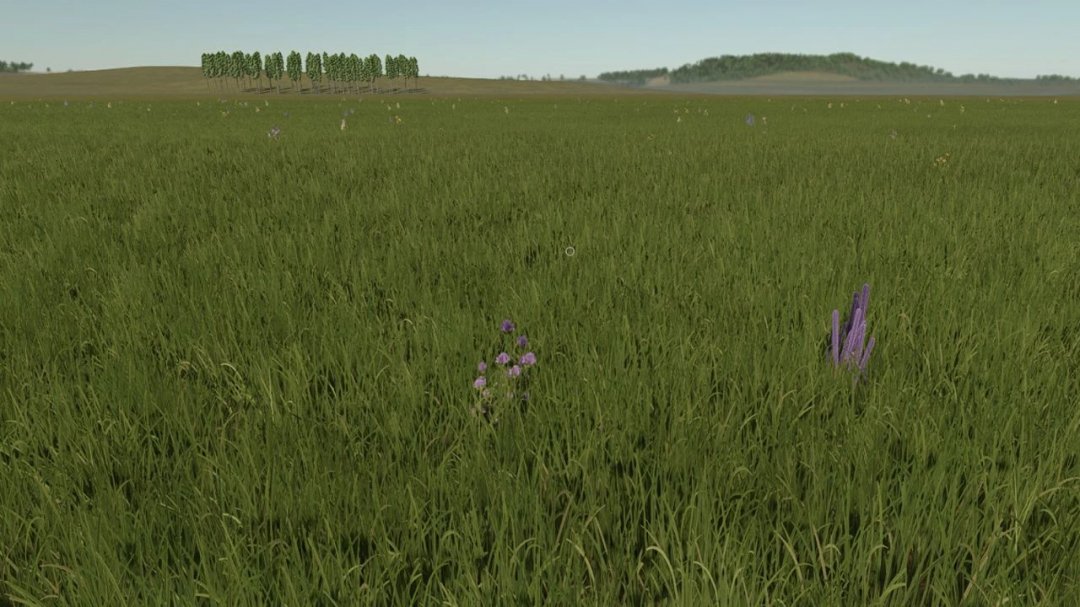 Farming Simulator 25 Fazenda Mata 4x mod showing a grassy field with scattered purple flowers and distant trees.