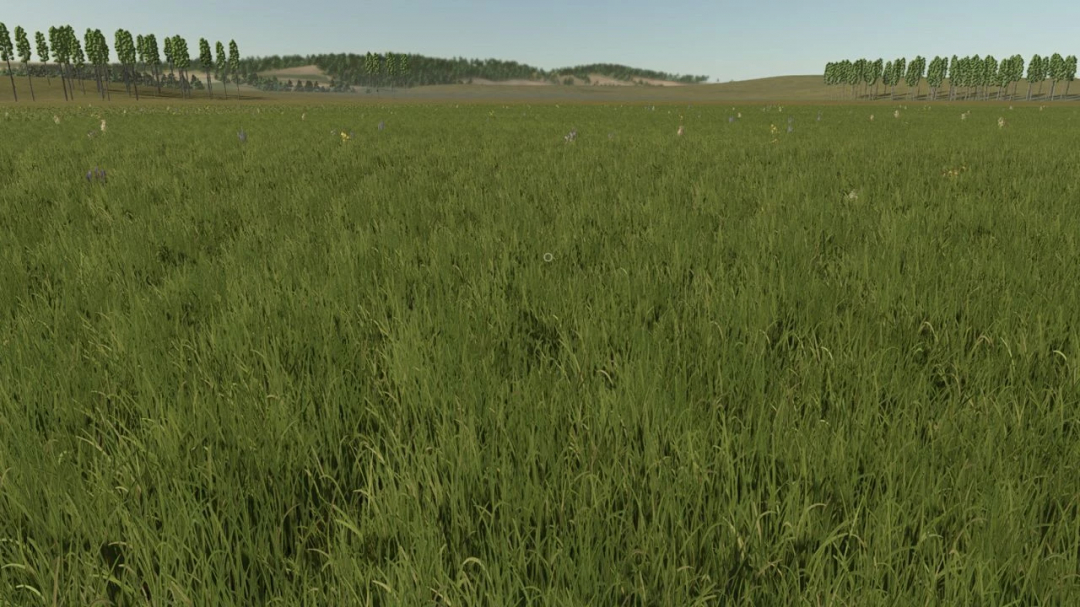 FS25 mods: Expansive green field with distant trees in Fazenda Mata 4x v1.0.0.0 for Farming Simulator 25.