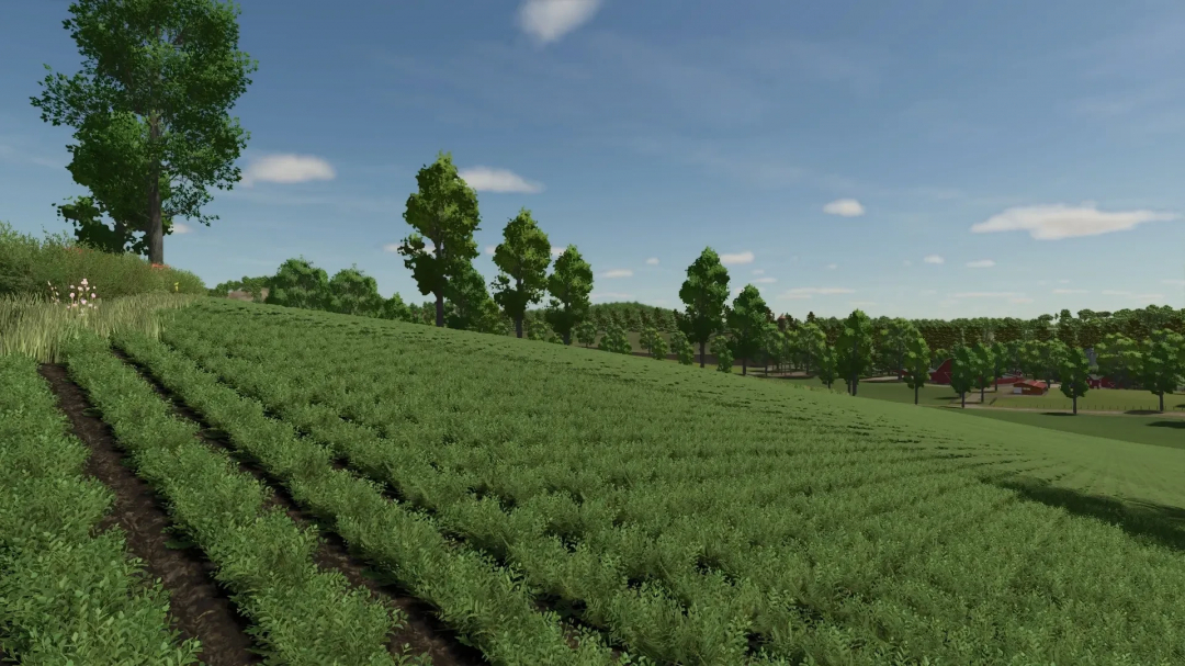 Lush green fields and trees in Map Feliz mod for FS25.