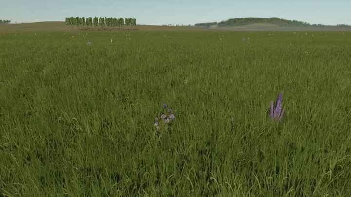 fs25-mods, Lush green field with purple flowers in FS25 Fazenda Mata 4x mod