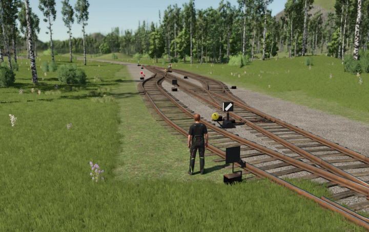 fs25-mods,  FS25 mod ZCA Railroads v1.0.0.0 showing tracks and trees in lush scenery.