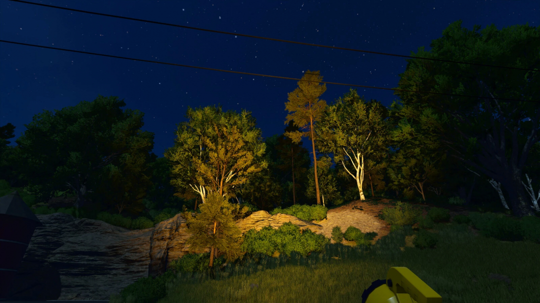 FS25 mods Big Flashlight v1.0.0.0 illuminates a forested area at night in Farming Simulator 25.