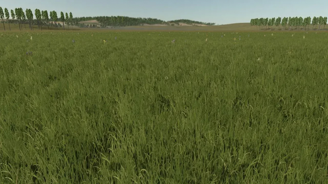 Open grassy field in FS25 Fazenda Mata 4x mod, showcasing the landscape's natural farmland.