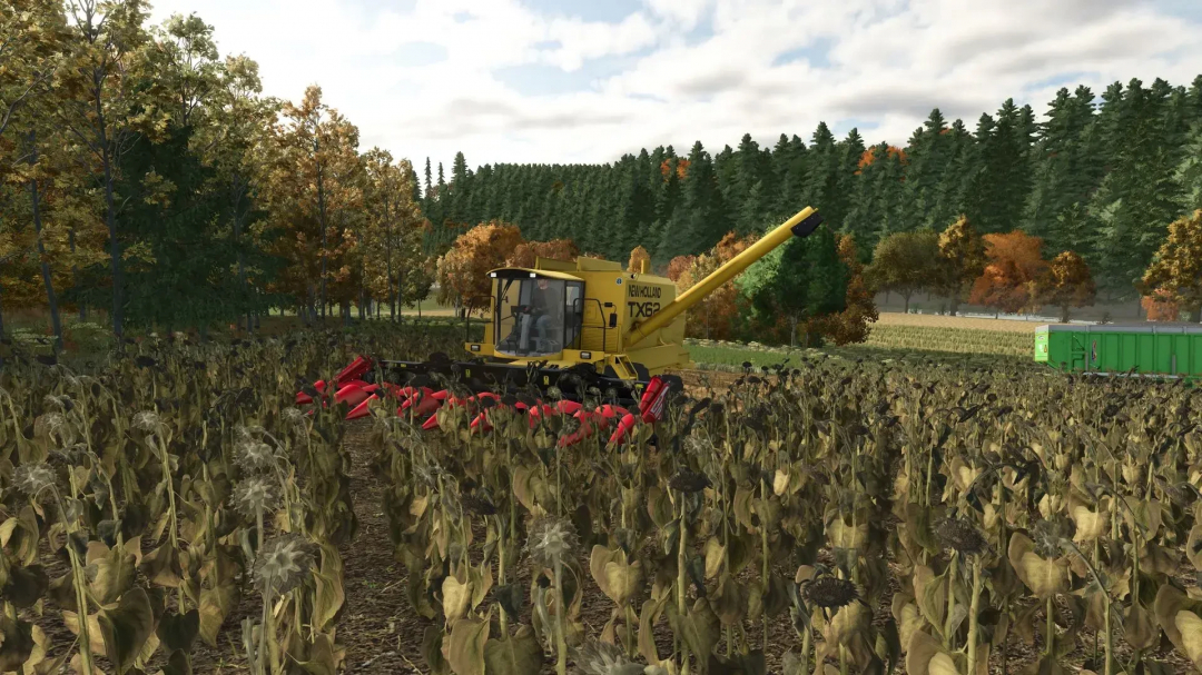 Sunflower Texture mod in FS25 showing a harvester in a sunflower field.