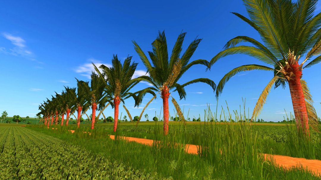 FS25 mod Coconut tree v1.1.0.0, showcasing rows of coconut trees in lush green fields under a clear blue sky.