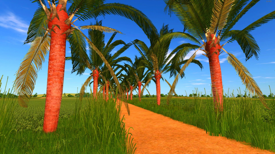 Coconut trees lining a dirt path in Farming Simulator 25 mod, featuring lush green fields and clear blue skies in the background.