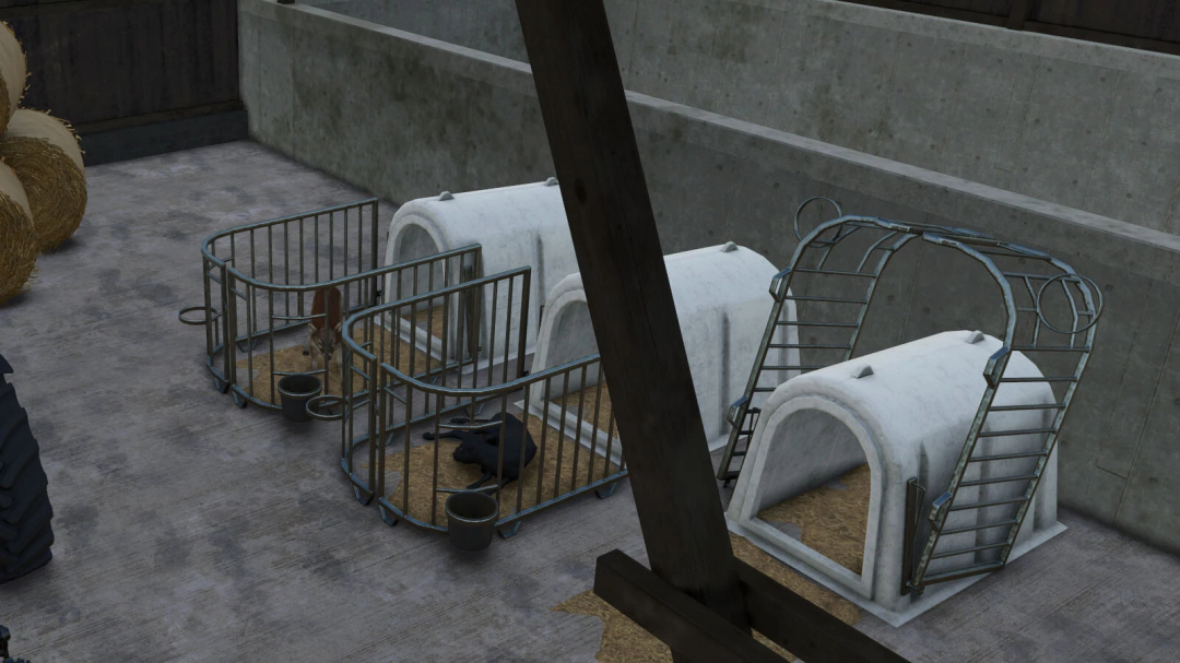 Calf igloo pens in Farming Simulator 25 mod, showing white igloos and metal enclosures.