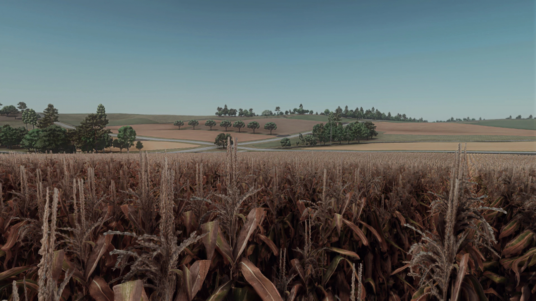 Cornfield and scenic hills in Forest Wisconsin mod for FS25.