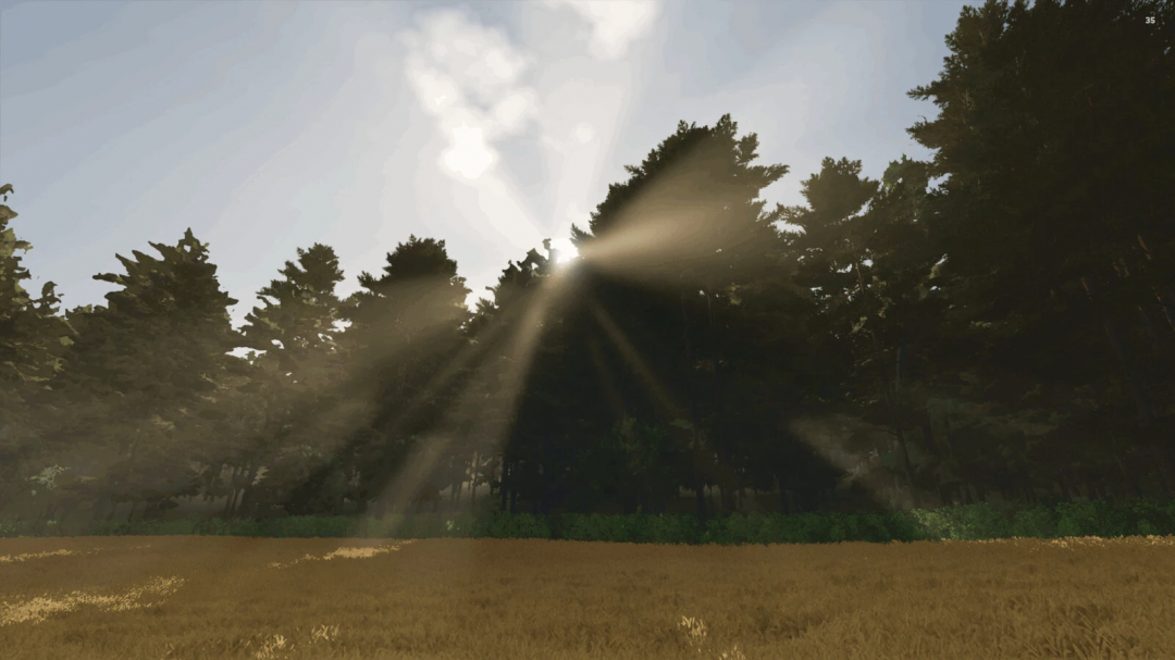 Sunlight filtering through trees in The Risoux Forest mod for Farming Simulator 25.