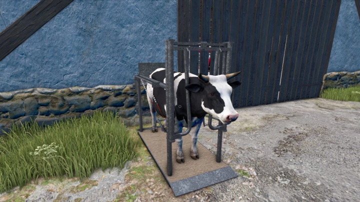 fs25-mods, Cow positioned in care station in FS25 mods, Farming Simulator 25 mod.