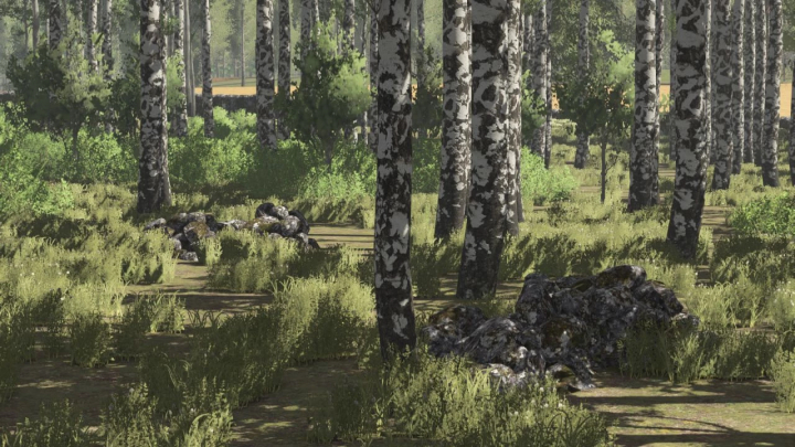 fs25-mods, Farming Simulator 25 mod: Pinewood Forest v1.6.0.0 with detailed birch trees and forest scenery.