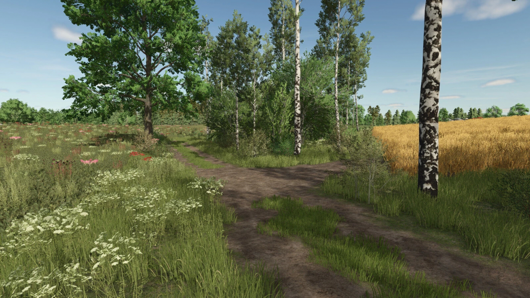 Virtual forest scene from Farming Simulator 25 with dirt paths, green grass, trees, and fields, featuring the Lipinki v1.3.0.0 mod.