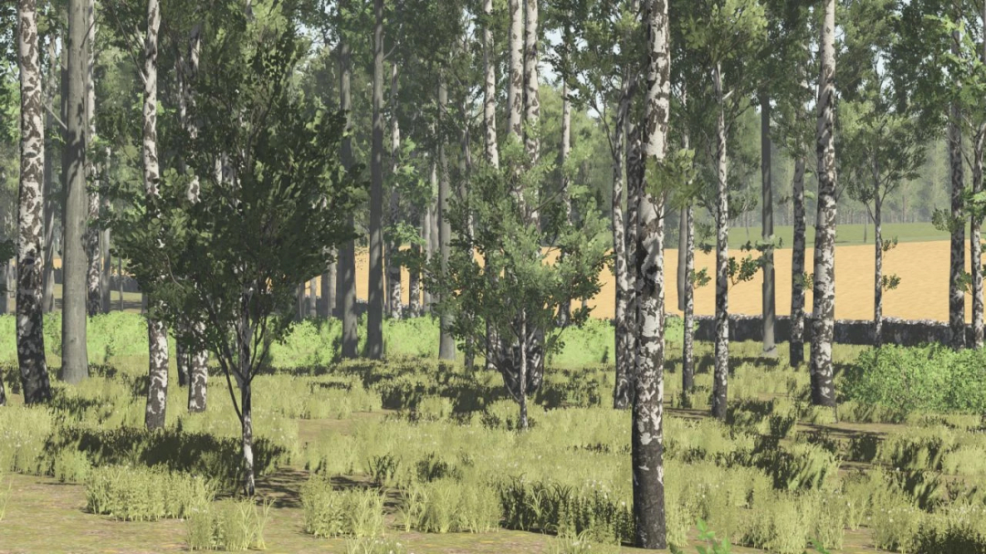 Farming Simulator 25 mods: Pinewood Forest, showing a dense forest with tall trees, grass, and shrubs, part of FS25 mods for immersive gameplay.