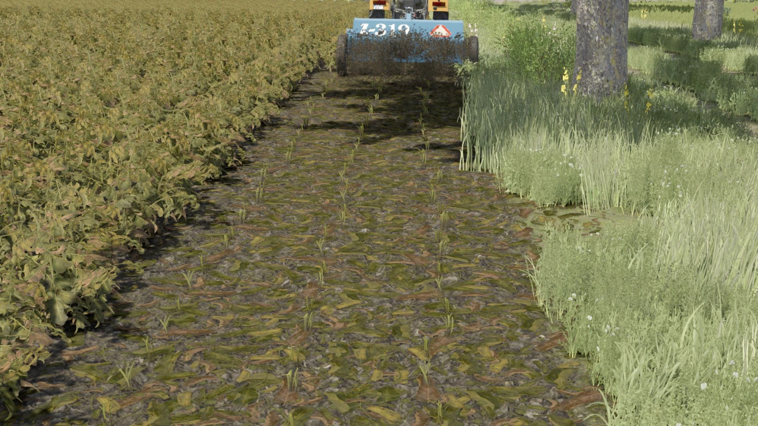 Farming Simulator 25 mod showcasing the Lizard Z-319 cultivator working between crops and grass.