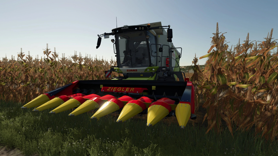 Farming Simulator 25 mod featuring the Ziegler Corn Champion 5R 7R header attached to a CLAAS harvester in a cornfield.