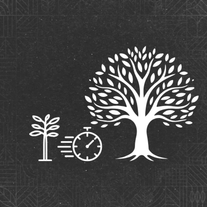 fs25-mods,  Trees Growing Faster v1.0.0.0