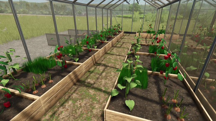 fs25-mods,  Inside a greenhouse in Farming Simulator 25 with raised beds growing strawberries and onions, part of the Supermarket Productions mod.