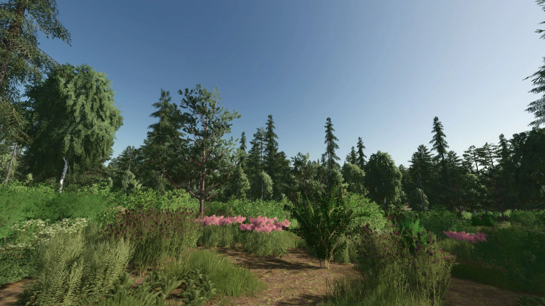 In-game screenshot of a forest scene from Farming Simulator 25 with lush greenery, tall trees, and a clear blue sky, featuring the Forest Valley v1.0.1.0 mod for FS25.