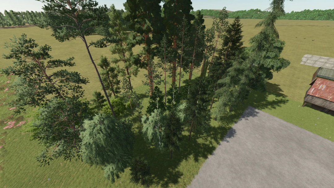 Screenshot of diverse tree types added with the new trees limit mod in Farming Simulator 25, showcasing various tall trees on a farm.