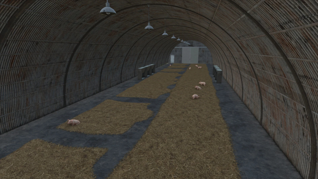 Inside a barn in Farming Simulator 25 showing pig pens and piglets, compatible with Old Tin Pigsty v1.0.0.0 mod, part of FS25 mods.