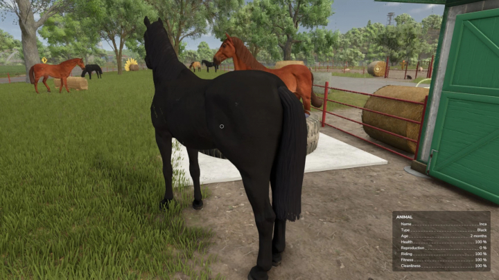 fs25-mods,  Farming Simulator 25 mod featuring a black horse named Inca in a scenic farm environment, showcasing auto horse care features.
