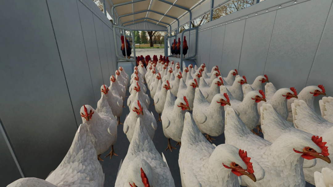 Farming Simulator 25 mod showing a poultry transport trailer filled with chickens, part of the Animal Transport Trailer Pack v1.0.0.0.