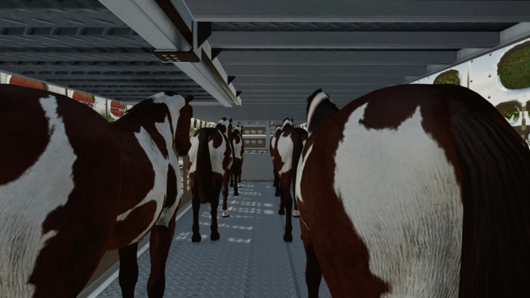Inside view of Dairy Cow Transport Trailer from Farming Simulator 25 mods, showing cows in a transportation trailer.
