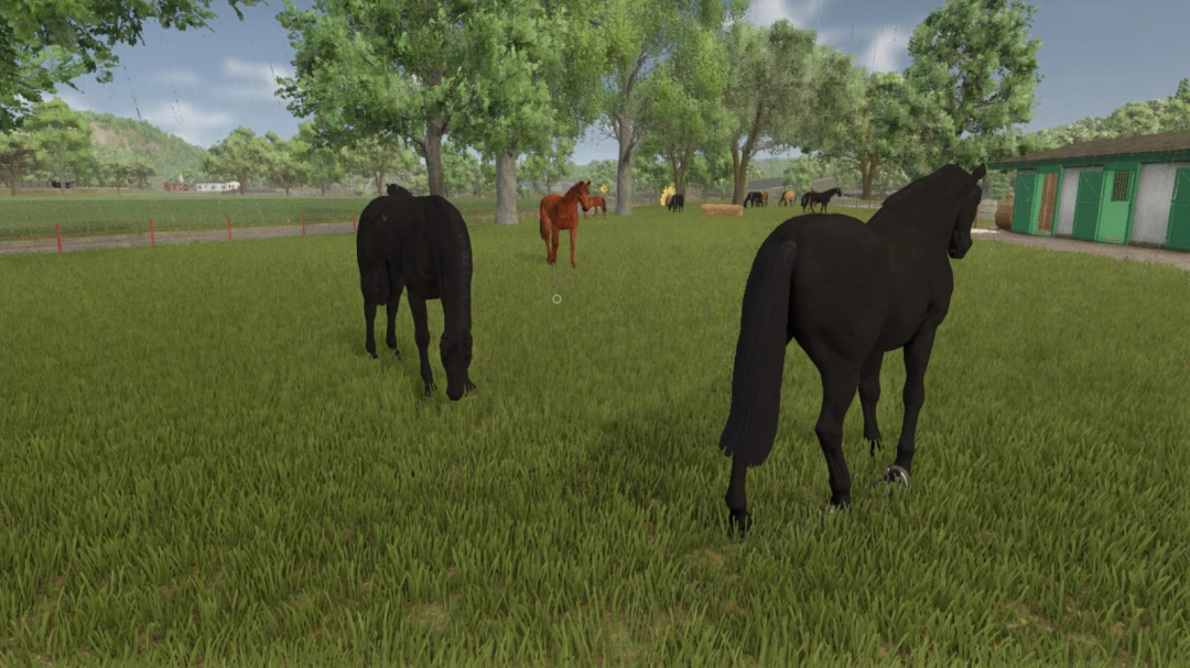 Farming Simulator 25 mods: Horses in a paddock, showcasing the Auto Horse Care v1.0.0.0 mod for improved horse management.