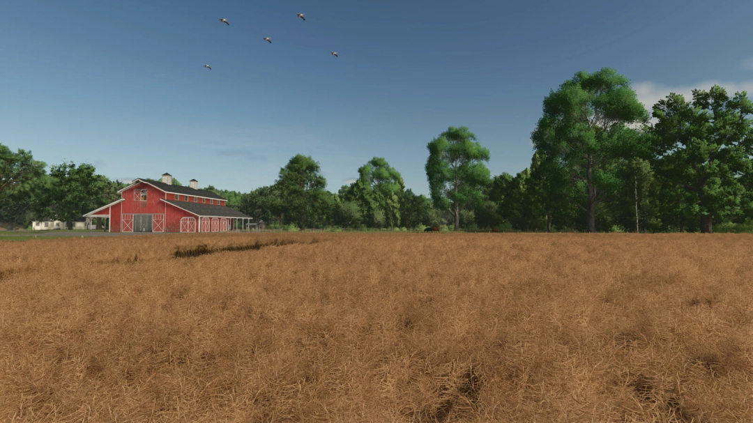 Farming Simulator 25 mod showcasing a barn, trees, and a wheat field with birds flying overhead, featuring PlayerCam v1.0.0.0.