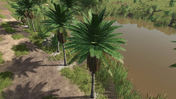 fs25-mods, Farming Simulator 25 mod showing palm trees along a riverbank, part of the Coconut Trees v1.0.0.0 mod.