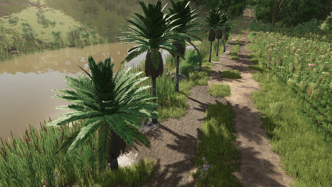 Virtual scene of coconut trees along a dirt path by a water body in Farming Simulator 25, showcasing FS25 mods for tropical landscapes.