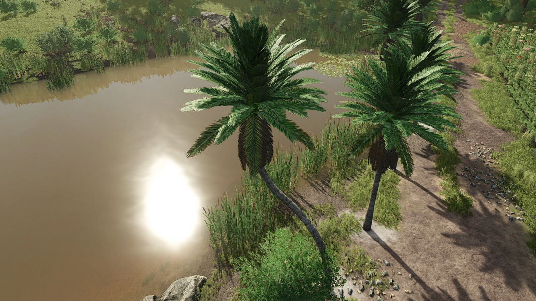 Farming Simulator 25 mod featuring coconut trees near water, part of FS25 mods for tropical landscape decoration.