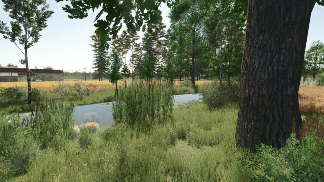 Starowies V1.2