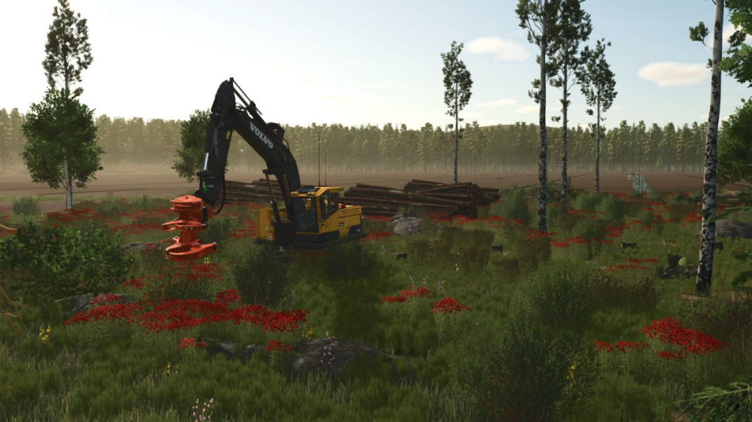 Sunshine Forest v1.0.0.5