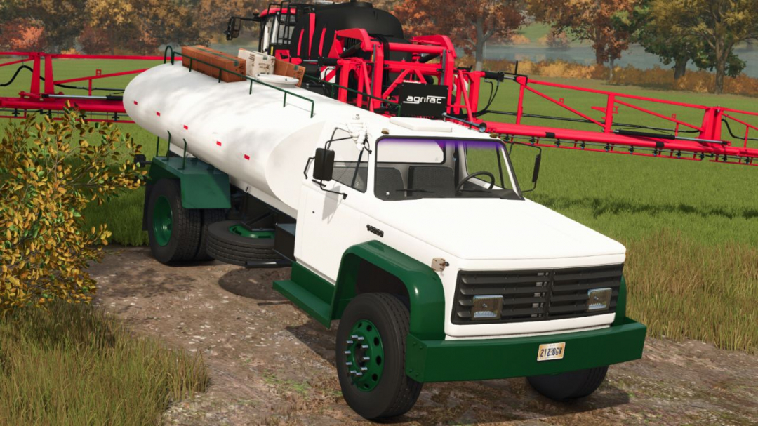Lizard D 14.000 V1.0