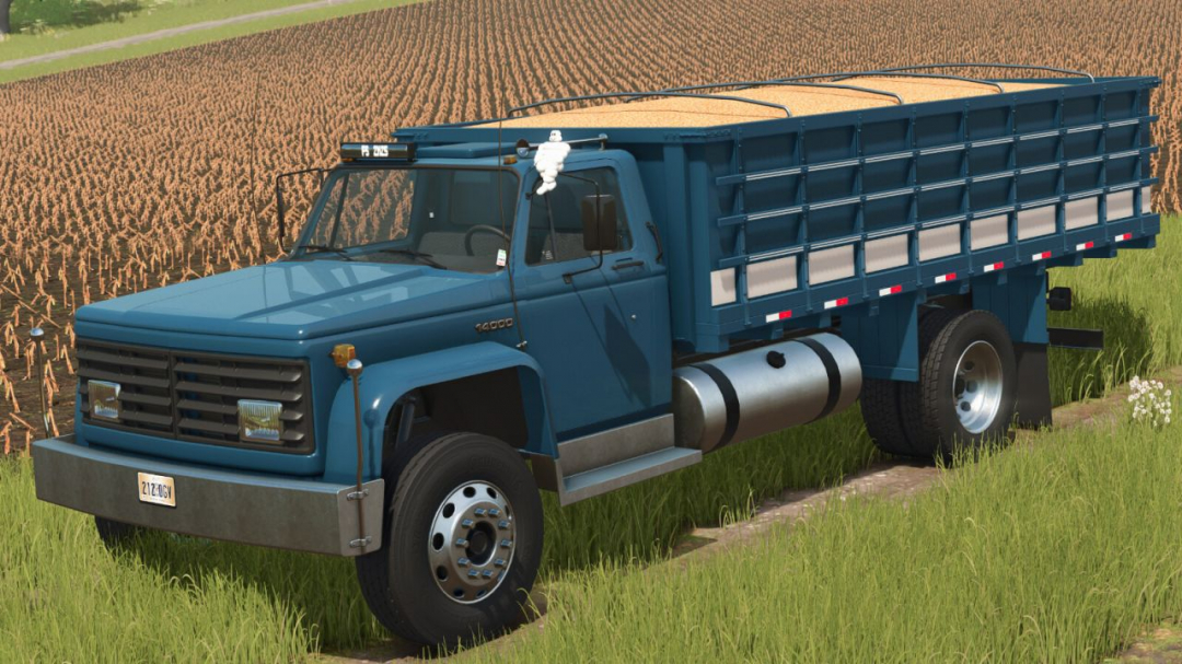 Lizard D 14.000 V1.0