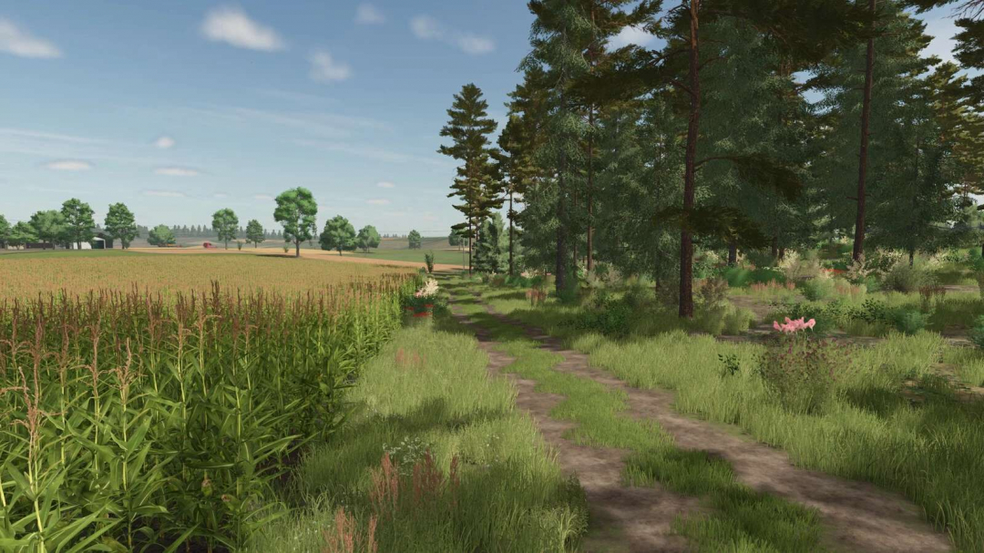 Cybuchowo Map v1.0