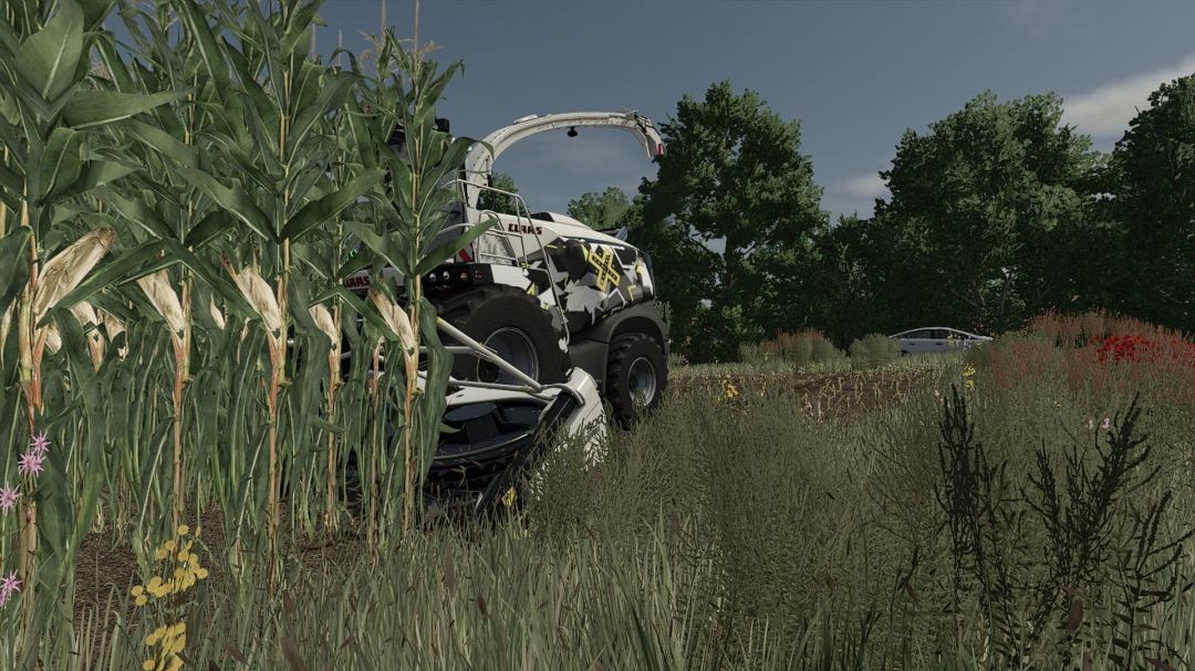 Shader 2 by Daniel V1.0