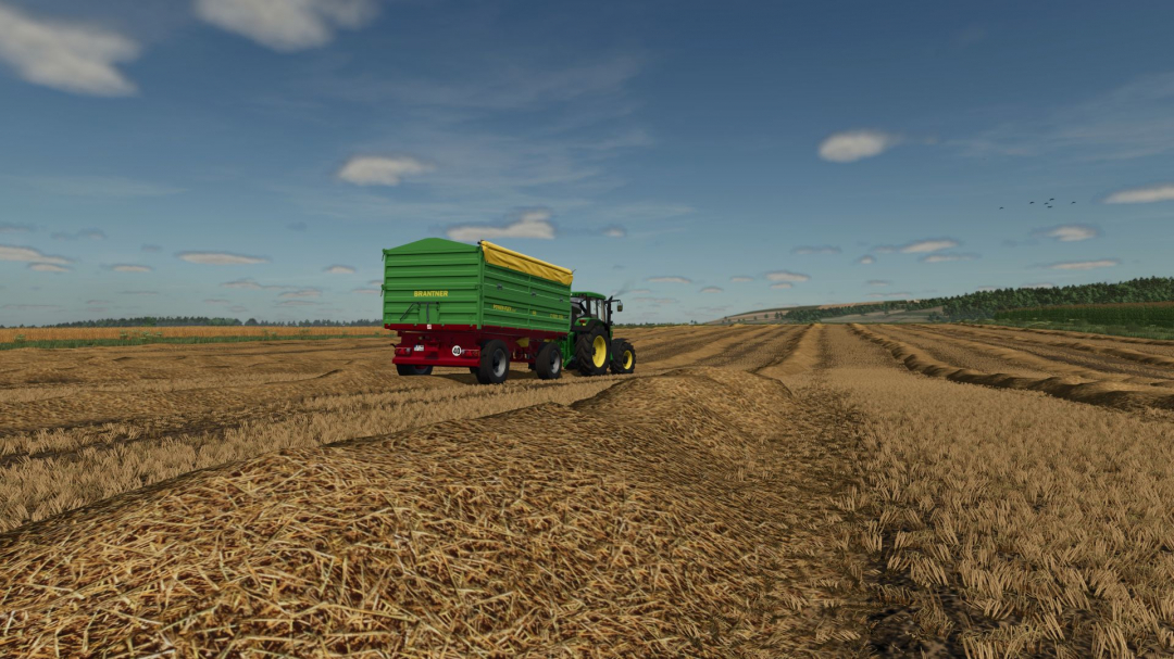 Straw Texture V1.0