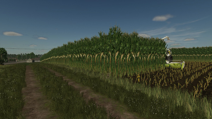 fs25-mods,  Maize texture Height Changed V1.0