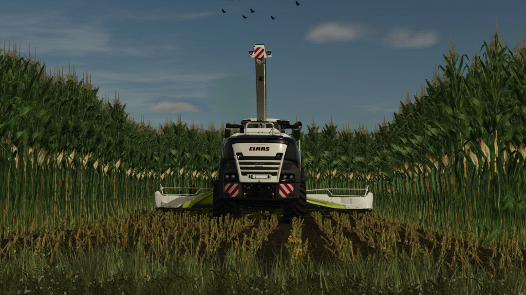 Maize texture Height Changed V1.0