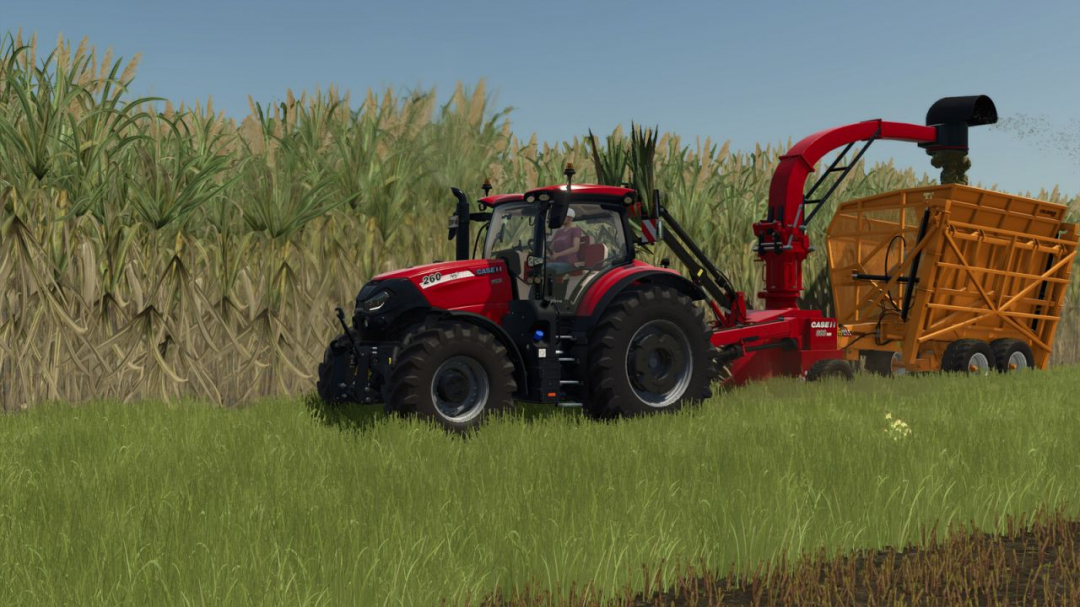 Case 800 MR V1.0