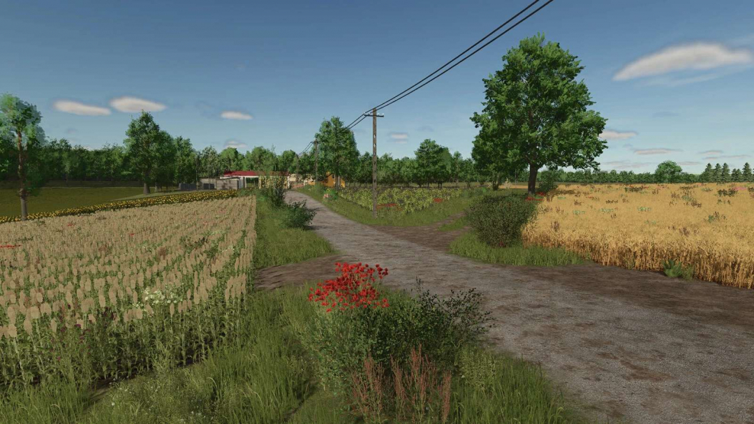 Lipinki Map v1.4.0.1