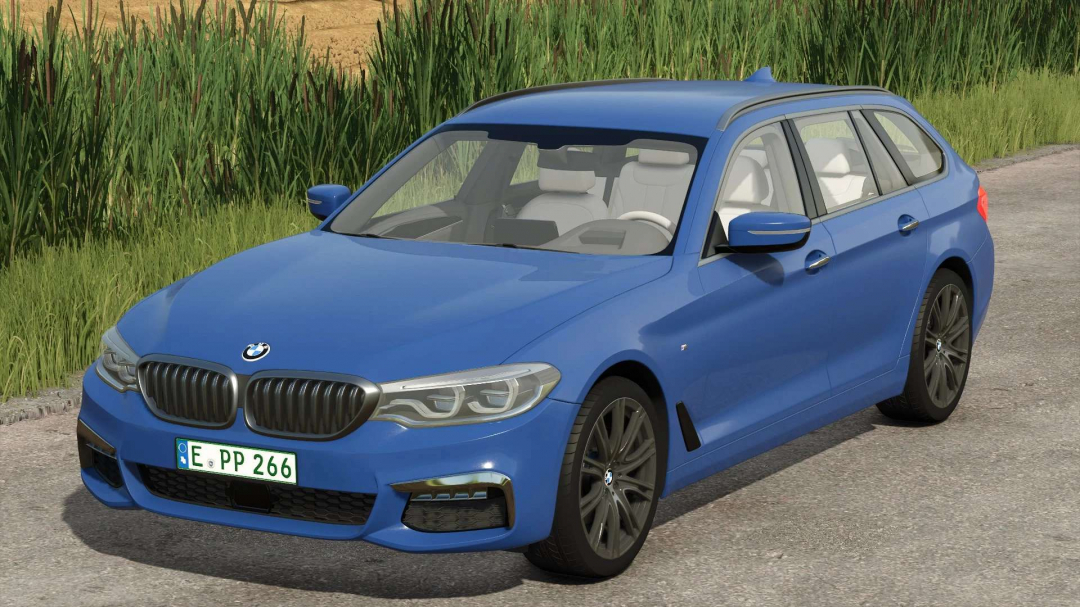 BMW 5 Touring G31 v1.0