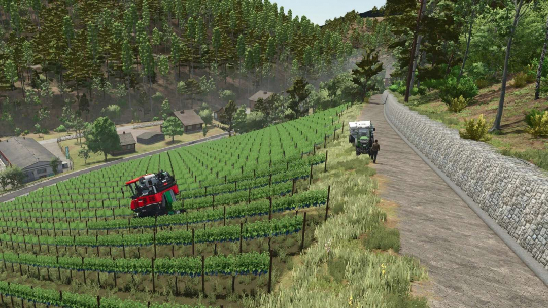 Dalberg Map v1.0