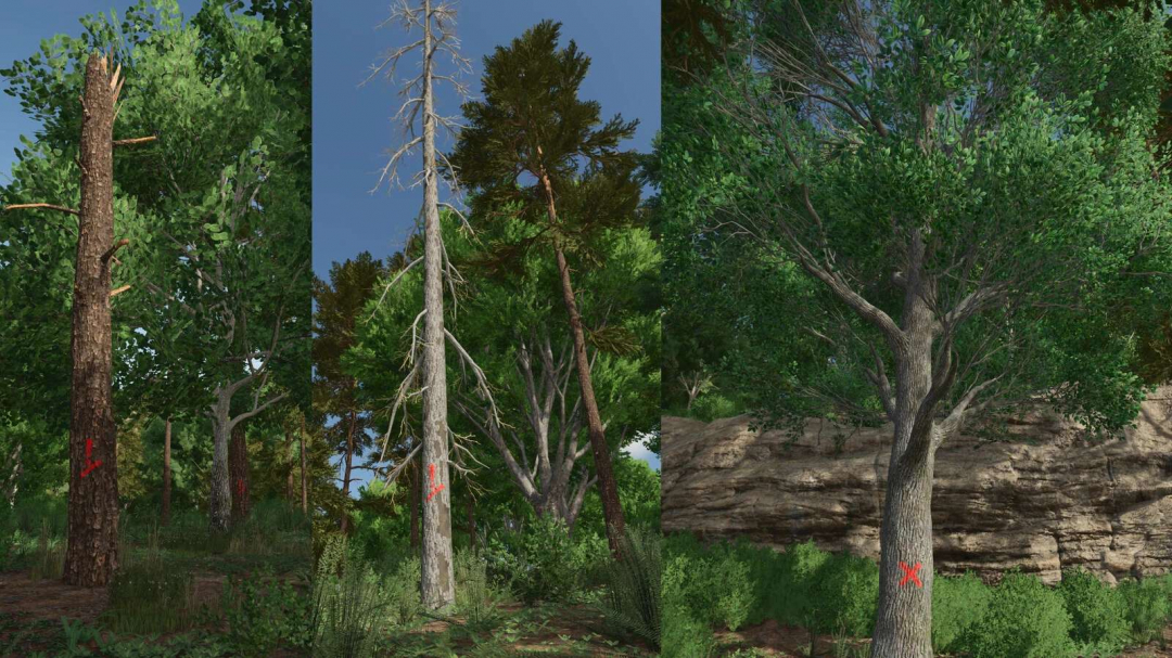 Advanced Deadwood Missions v1.0