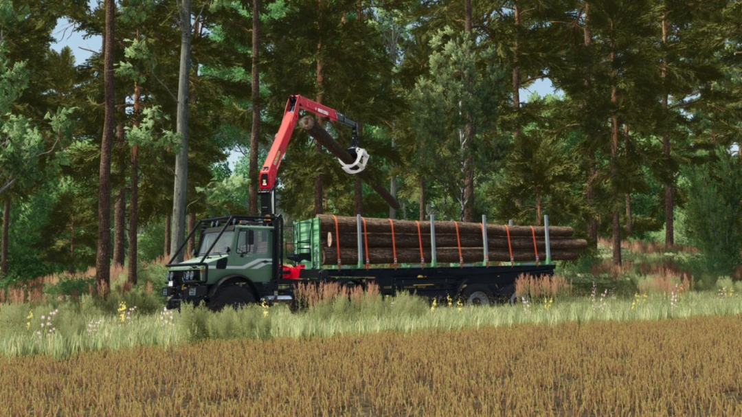 Brantner DD24073/2 XXL Pack V1.0