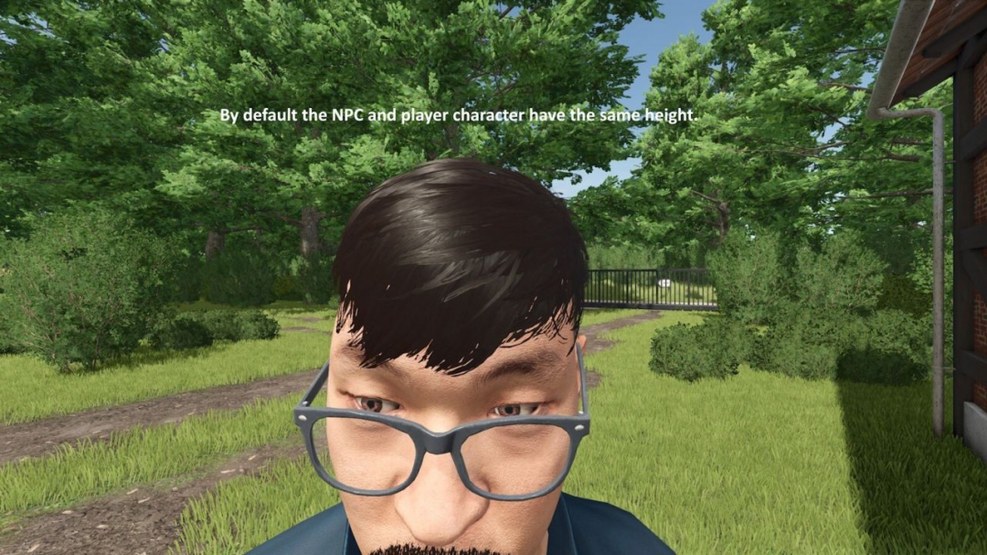 Realistic First Person V1.0